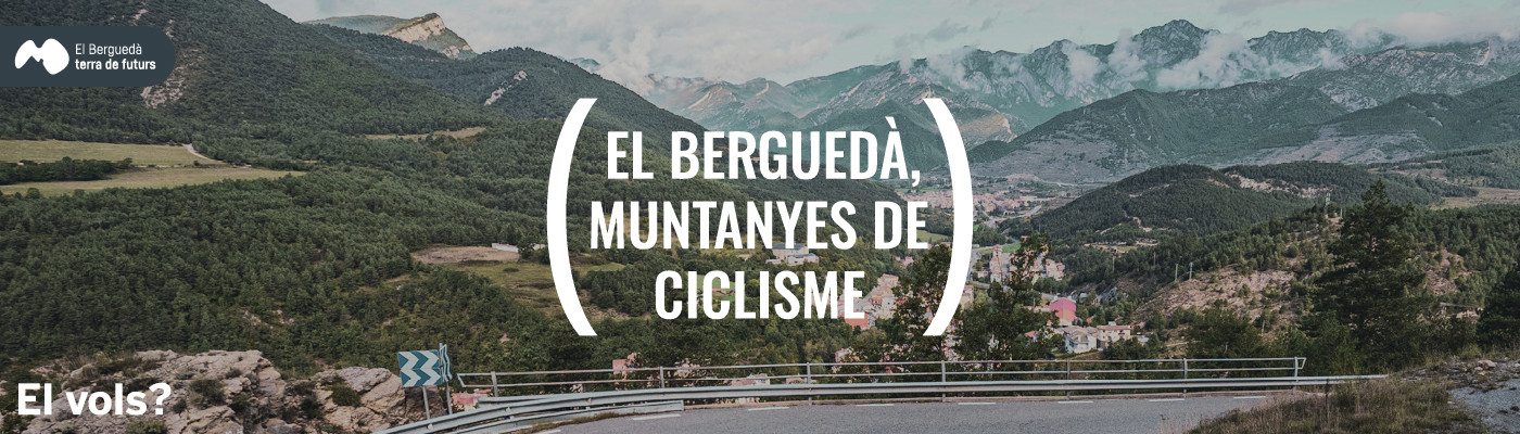 bANNER bici.jpg