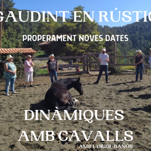 Dinamiques-cavalls-Rustic-Vilella.png