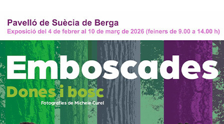 DONES I BOISC PIXELS.jpg