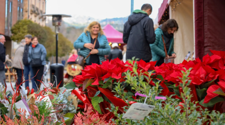 Flors de Nadal al mercat