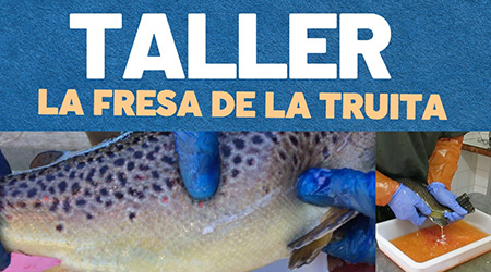 taller-truita-web.jpg